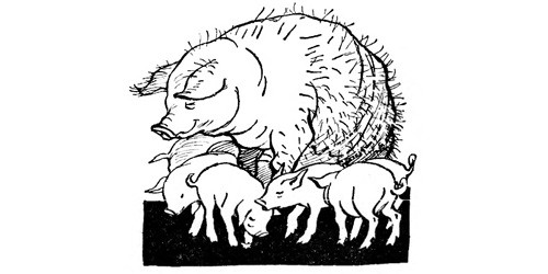 Ілюстрація Анатолія Арутюнянца до байки Микити Годованця «Левиця і Свиня»